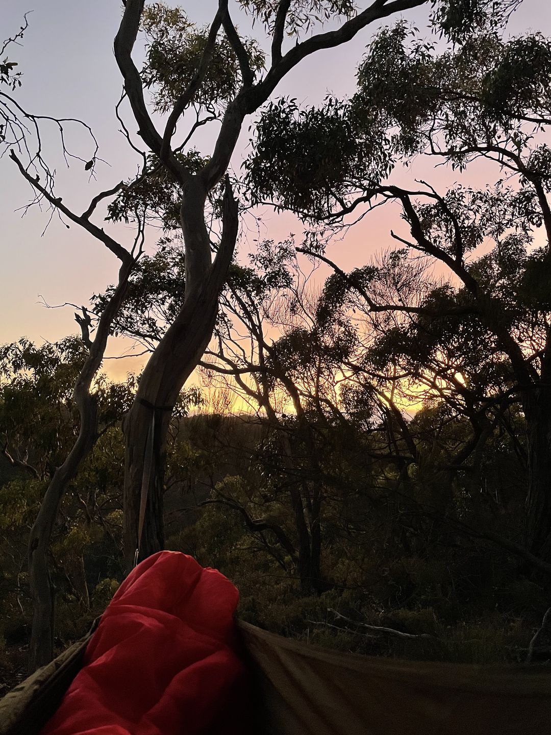 Customer photo review of Ultralight Hammock