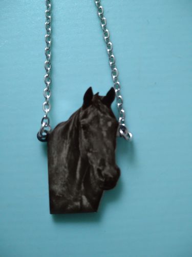 Customer photo review of LOANYA persönliches Haustier als Halskette oder Anhänger