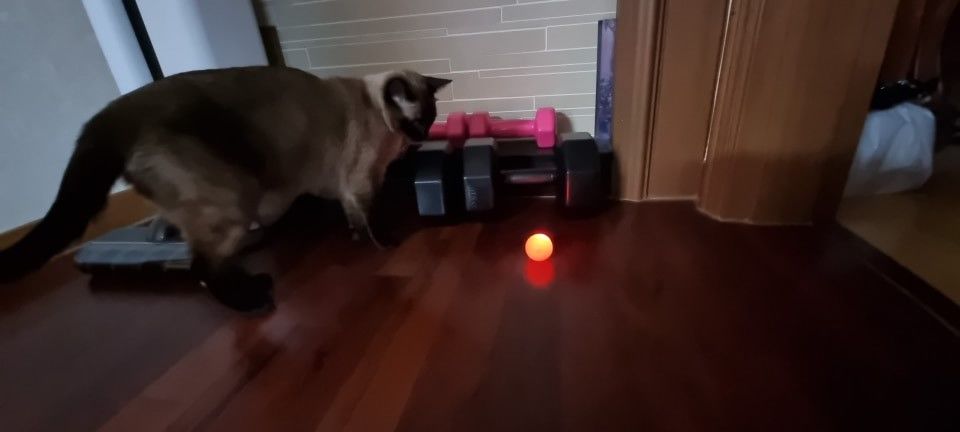 Customer photo review of Whiska Ball (Special Edition)