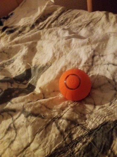 Customer photo review of Whiska Ball (Special Edition)