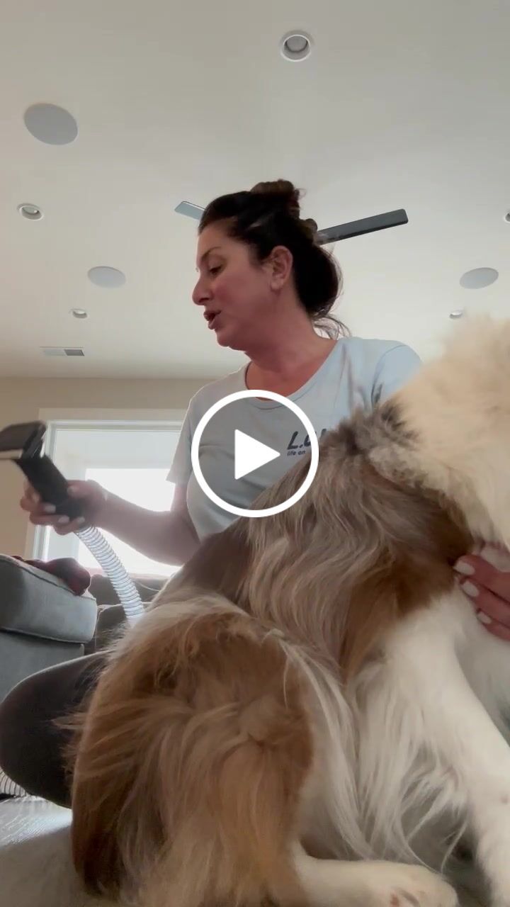 Customer video review of Original Pet Grooming Vacuum Kit