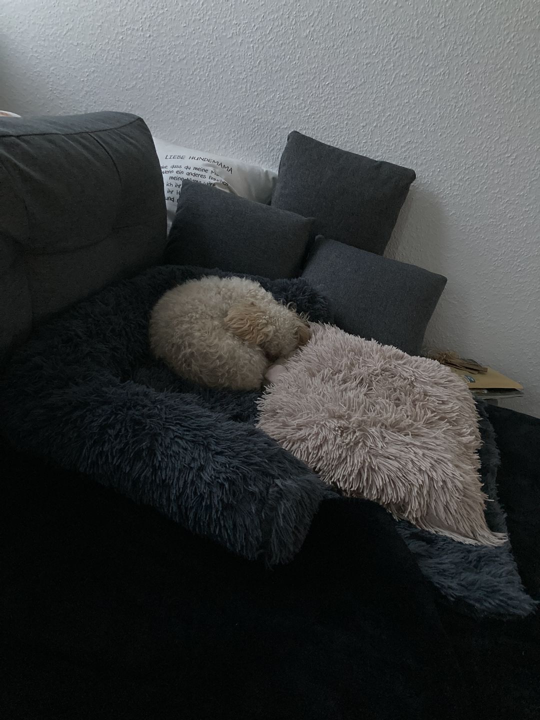 Customer photo review of *NEU* Emmalove - Flauschiges Hundebett für dein Sofa
