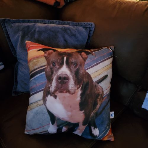 Customer photo review of Create A Custom Dog Pillow