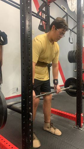 Customer photo review of Ursus [HT]