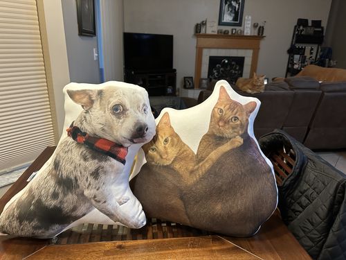 Customer photo review of Create A Custom Dog Pillow