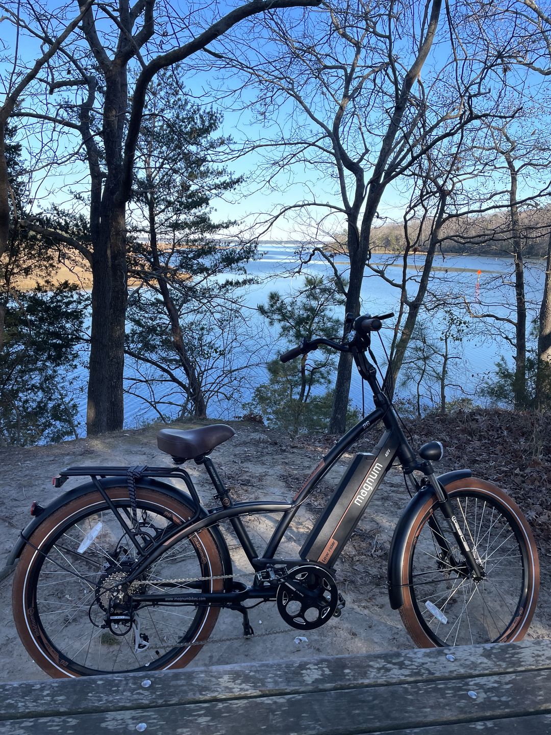 Customer photo review of Low rider 1.0