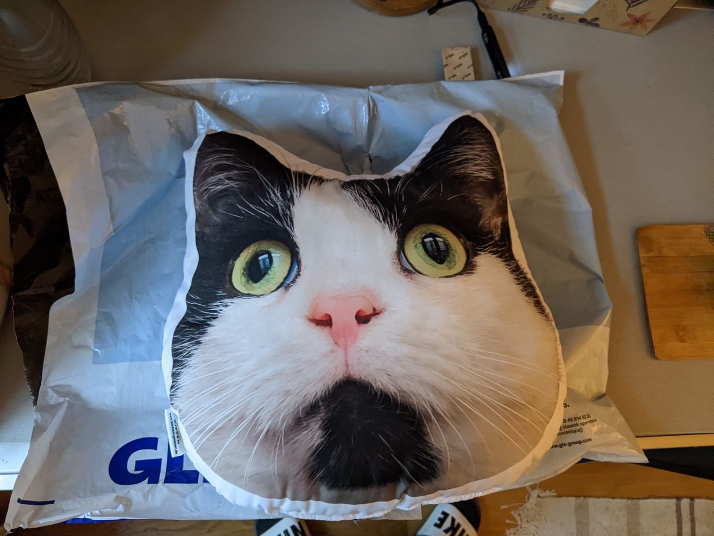 Customer photo review of Personalisiertes Tiergesichterkissen
