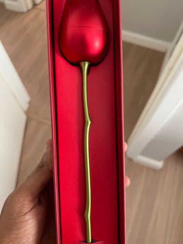 Customer photo review of Colgante + Estuche con forma de Rosa de regalo