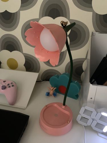 Customer photo review of Flower Table Lamp (4 Colors)