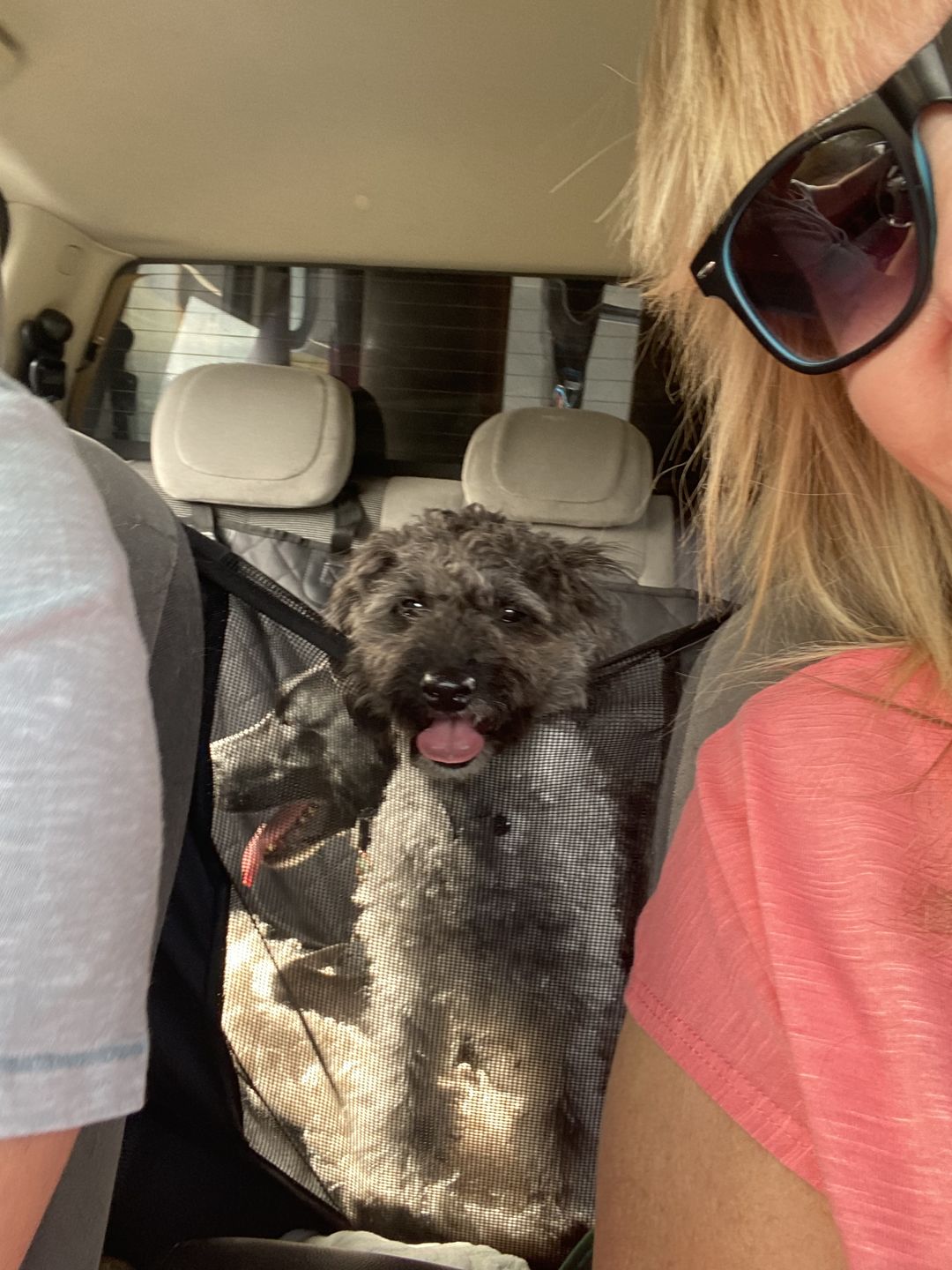 Customer photo review of Waterproof Pet Car Seat Cover With Mesh Window + Free Buckle Leash