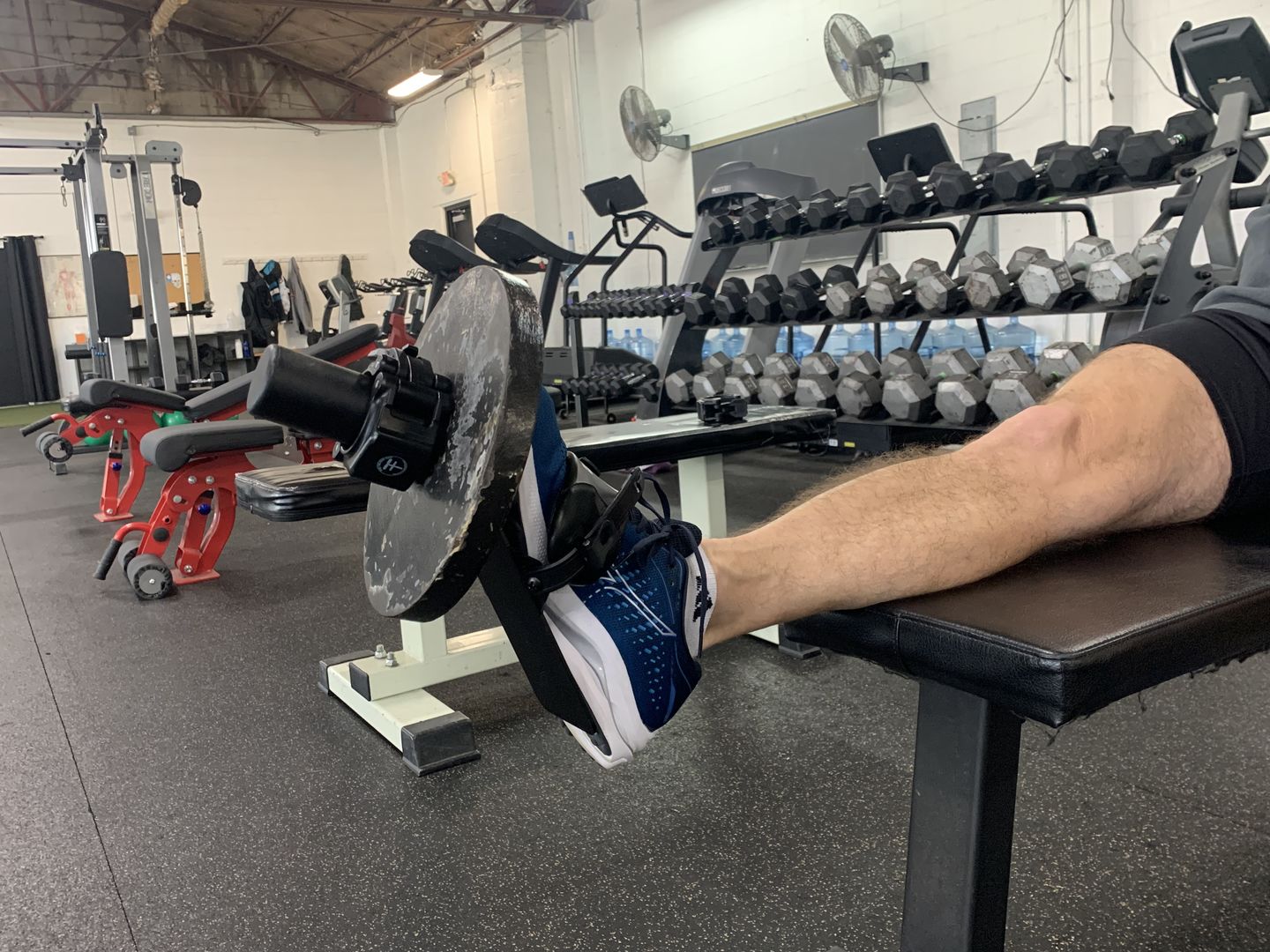 Customer photo review of The Solo Tib Bar