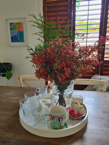 Customer photo review of Christmas Bush Wrap