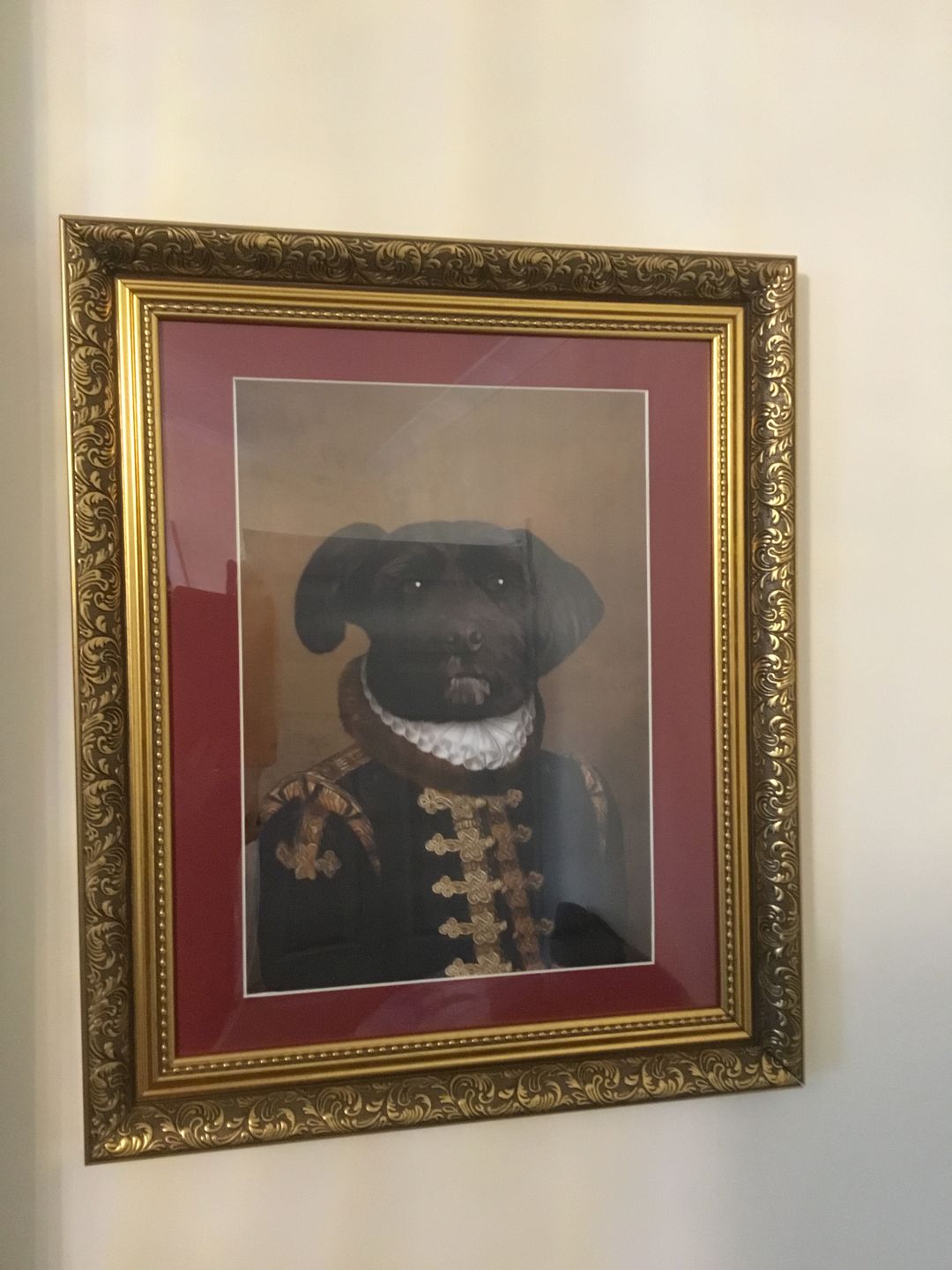 Customer photo review of The Count: Custom Pet Portrait