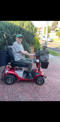 Customer photo review of All In One Pet Carrier Bag | Dog Bike Basket | Backpack for Dogs & Cats | Car Booster Seat