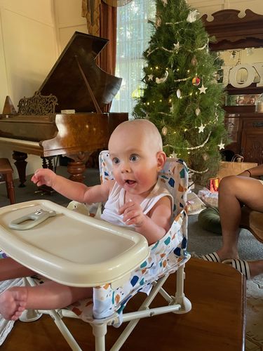 Customer photo review of Charlie baby chair v2