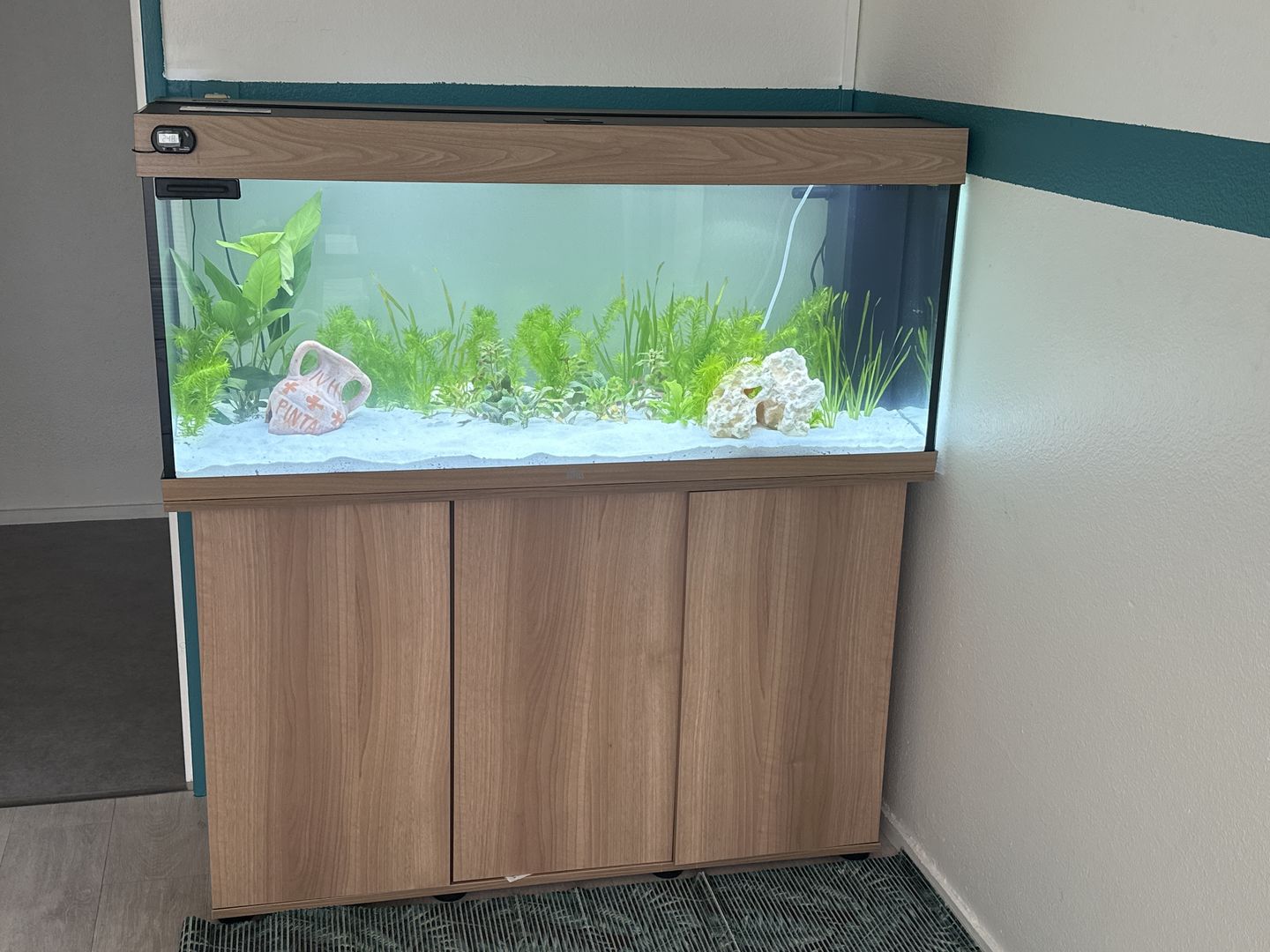 Customer photo review of Aquarium Rio 240 LED Chêne Équipé JUWEL - 240L