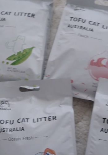 Customer photo review of Michu Natural Clumping Tofu Cat Litter 2.5kg/6L