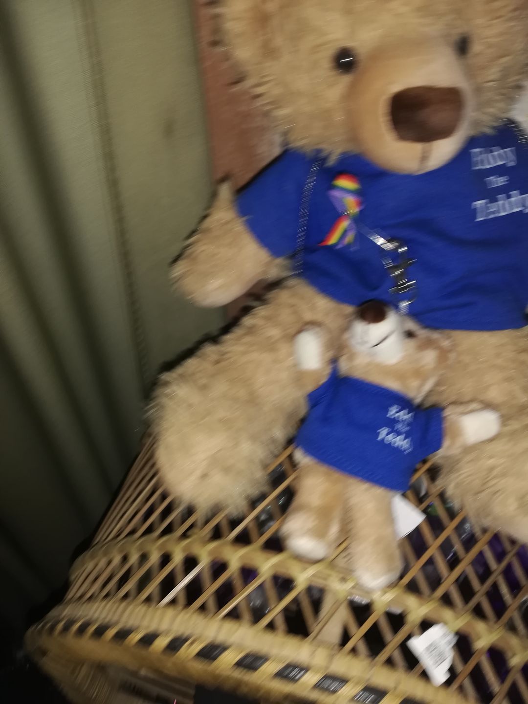 Customer photo review of Eddy The Teddy Keyring