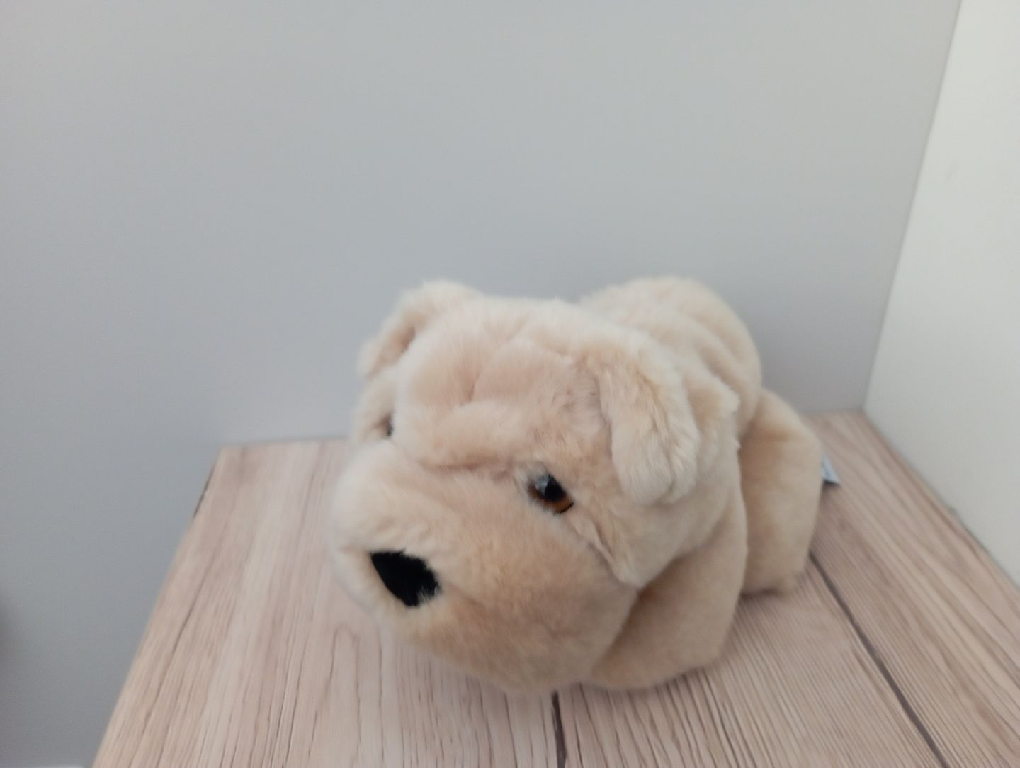 Customer photo review of Ma peluche Chien Hector