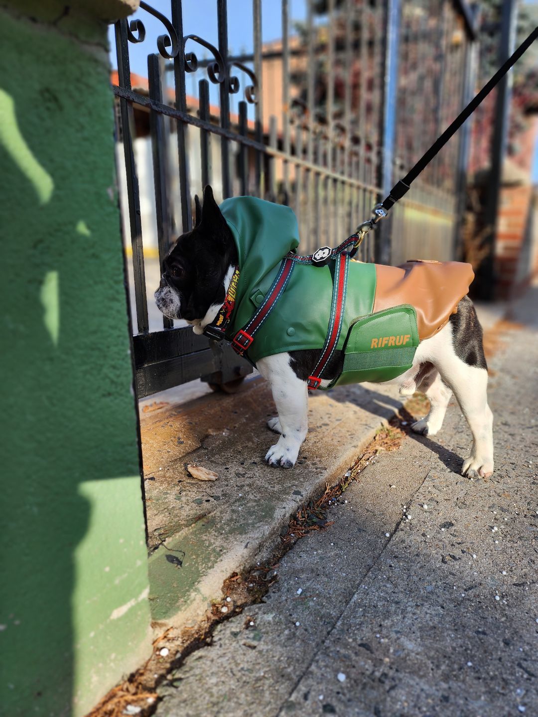 Customer photo review of CLIMAPAW Raincoat and Boots Set