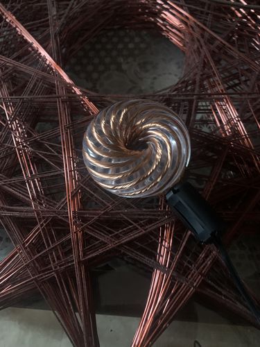 Customer photo review of Qi Coil™ 2 Parasite Detox System with Resonant Console 1