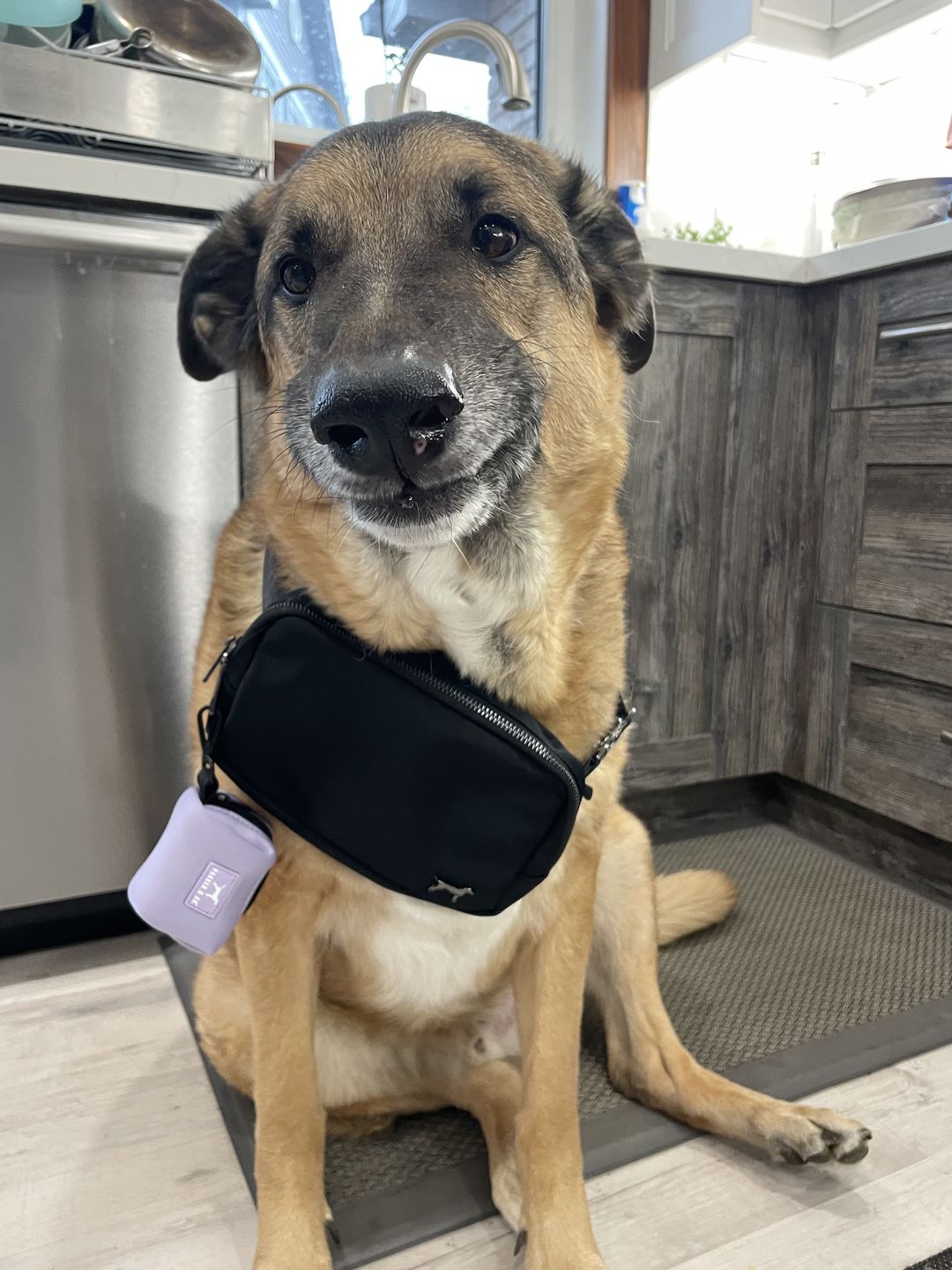 Customer photo review of Daily Belt Bag