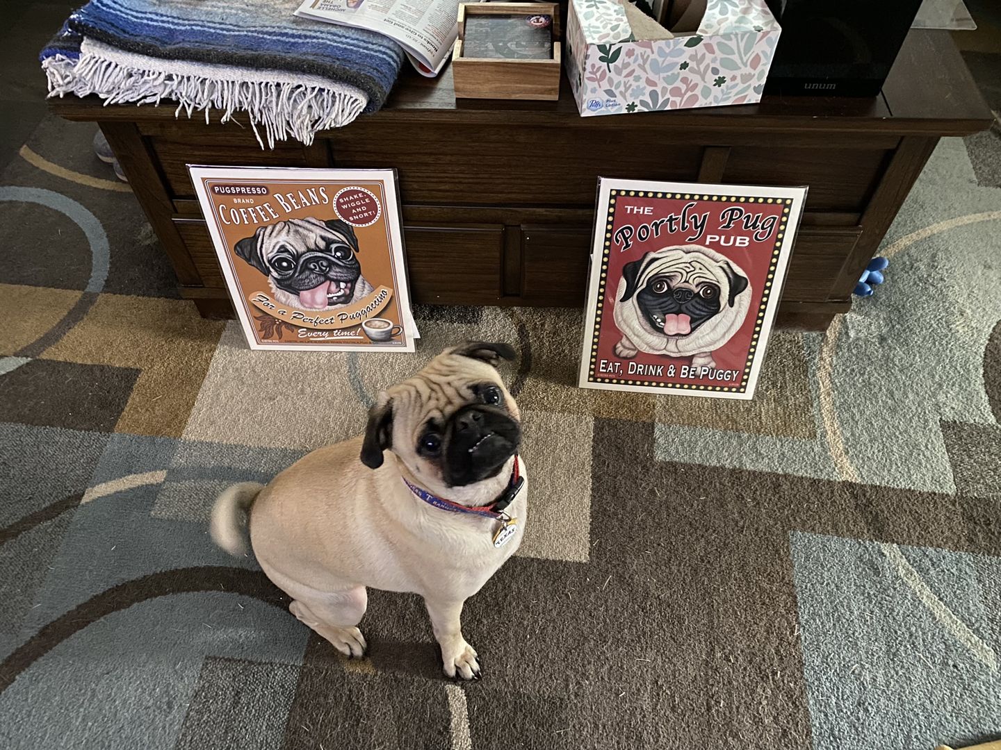 Customer photo review of Pug Art "The Portly Pug Pub" Art Print by Krista Brooks
