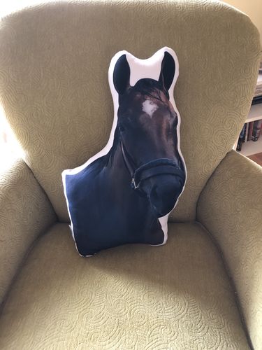Customer photo review of Create A Custom Face Pillow