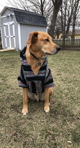 Customer photo review of Playa Poncho