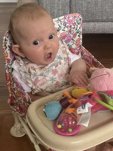 Customer photo review of Paloma baby chair v2