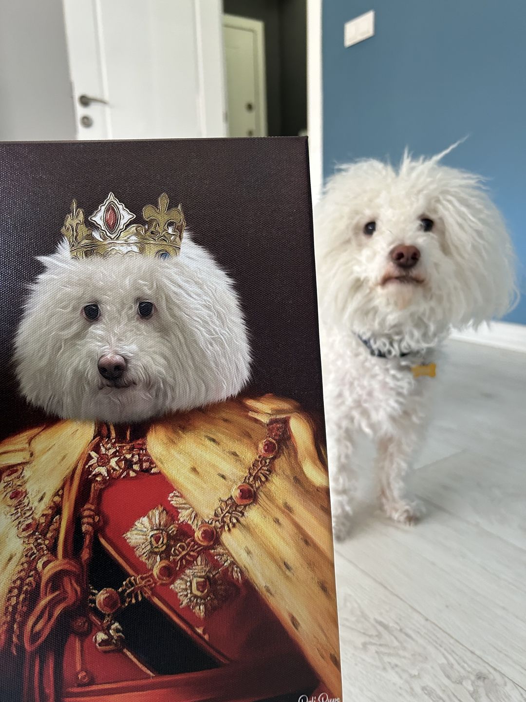 Customer photo review of The King of the Seven Kingdoms