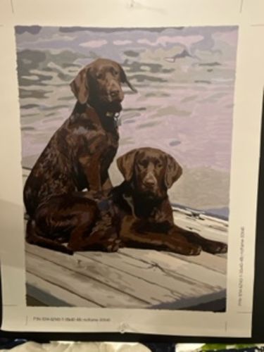 Customer photo review of Custom Paint By Numbers Kit - Upload Your Photo - Brush Set Included