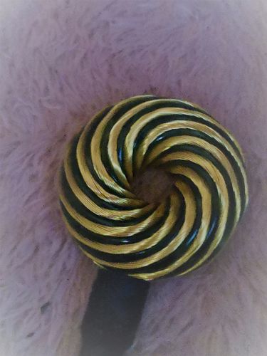 Customer photo review of Qi Coil™ 3S Parasite Detox Transformation System with Resonant Console 2