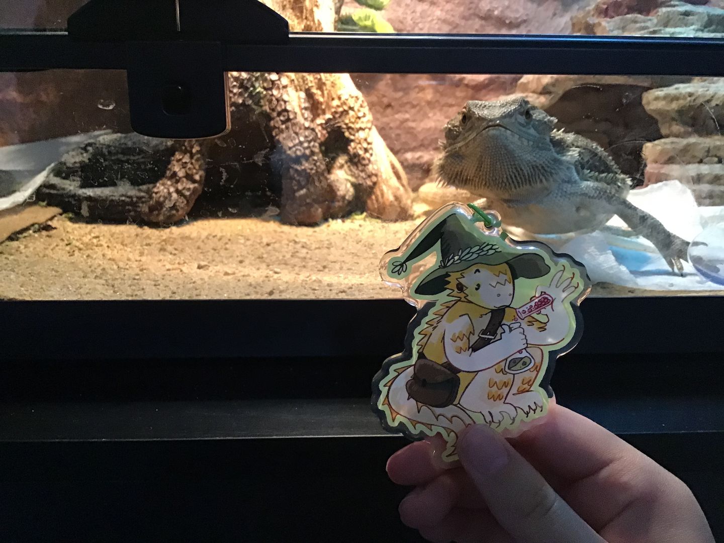 Customer photo review of Lizard Wizard Keychains