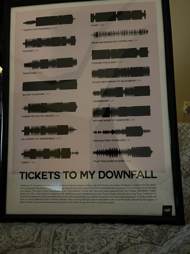 Customer photo review of "Tickets to My Downfall"