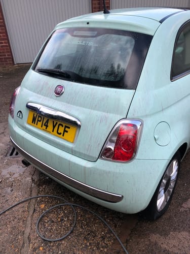 Customer photo review of AM Iron - Iron Fall Out Remover