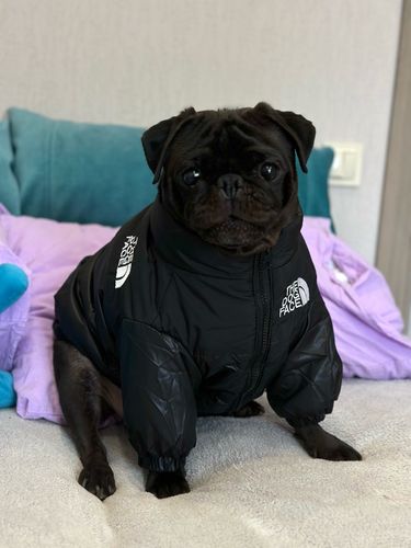 Customer photo review of Piumino "The Dog Face" Nero Personalizzabile con nome