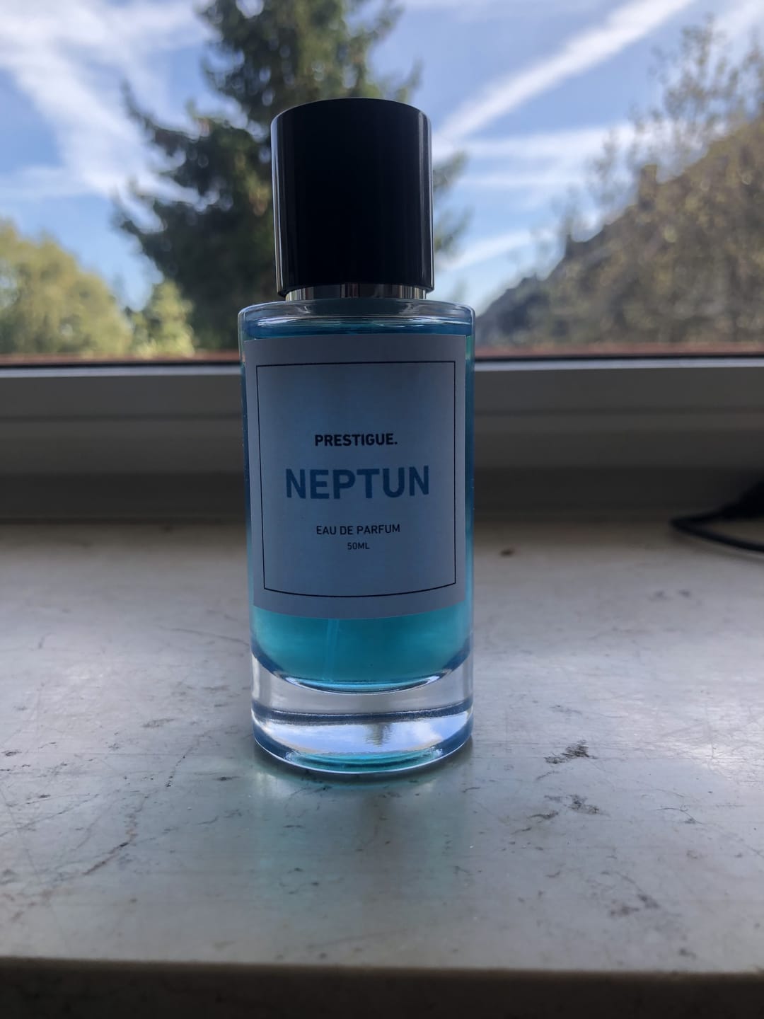 Customer photo review of NEPTUN