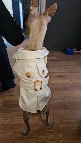 Customer photo review of Trench Beige