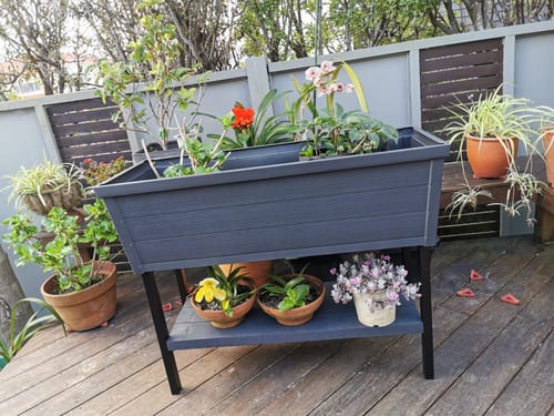 Customer photo review of Alfresco Garden Bed 105L