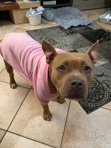 Customer photo review of Felpa "The Dog Face" Rosa Personalizzabile con nome