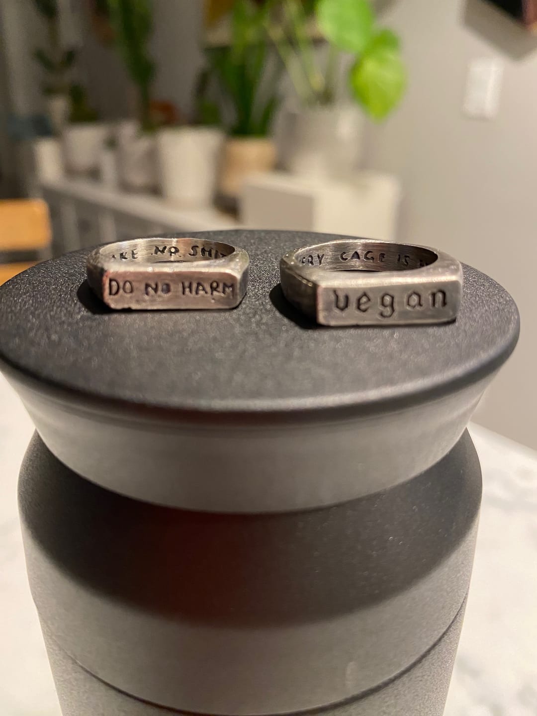 Customer photo review of Vegan | Silver Ring