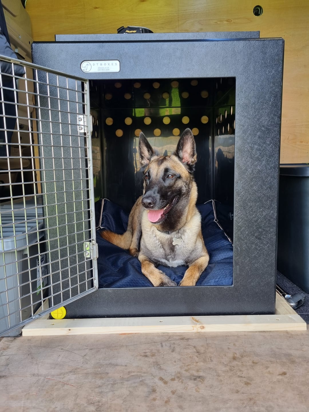 Customer photo review of DT Box Dog Car Travel Crate - The DT 600