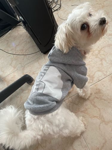 Customer photo review of Felpa "The Dog Face" Grigia Personalizzabile con nome