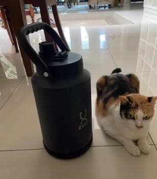 Customer photo review of 3.78L Portable Tangki