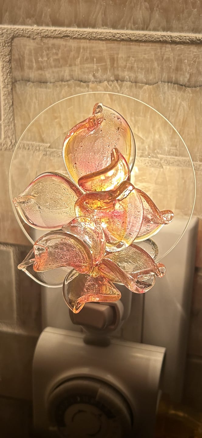 Customer photo review of Memorial Nightlight Flower with Cremation Ash