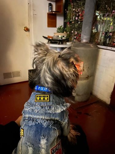 Customer photo review of Giacca Di Jeans con Toppe Chiara