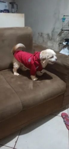 Customer photo review of Giacca "The Dog Face" X "Pupreme" Rossa Personalizzabile Con Nome