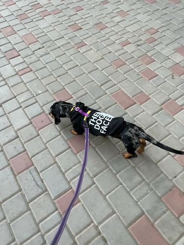 Customer photo review of Felpa "The Dog Face" Nera Personalizzabile con nome