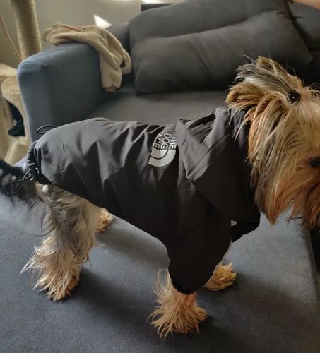 Customer photo review of Giacca "The Dog Face" X "Pupreme" Nera Personalizzabile Con Nome